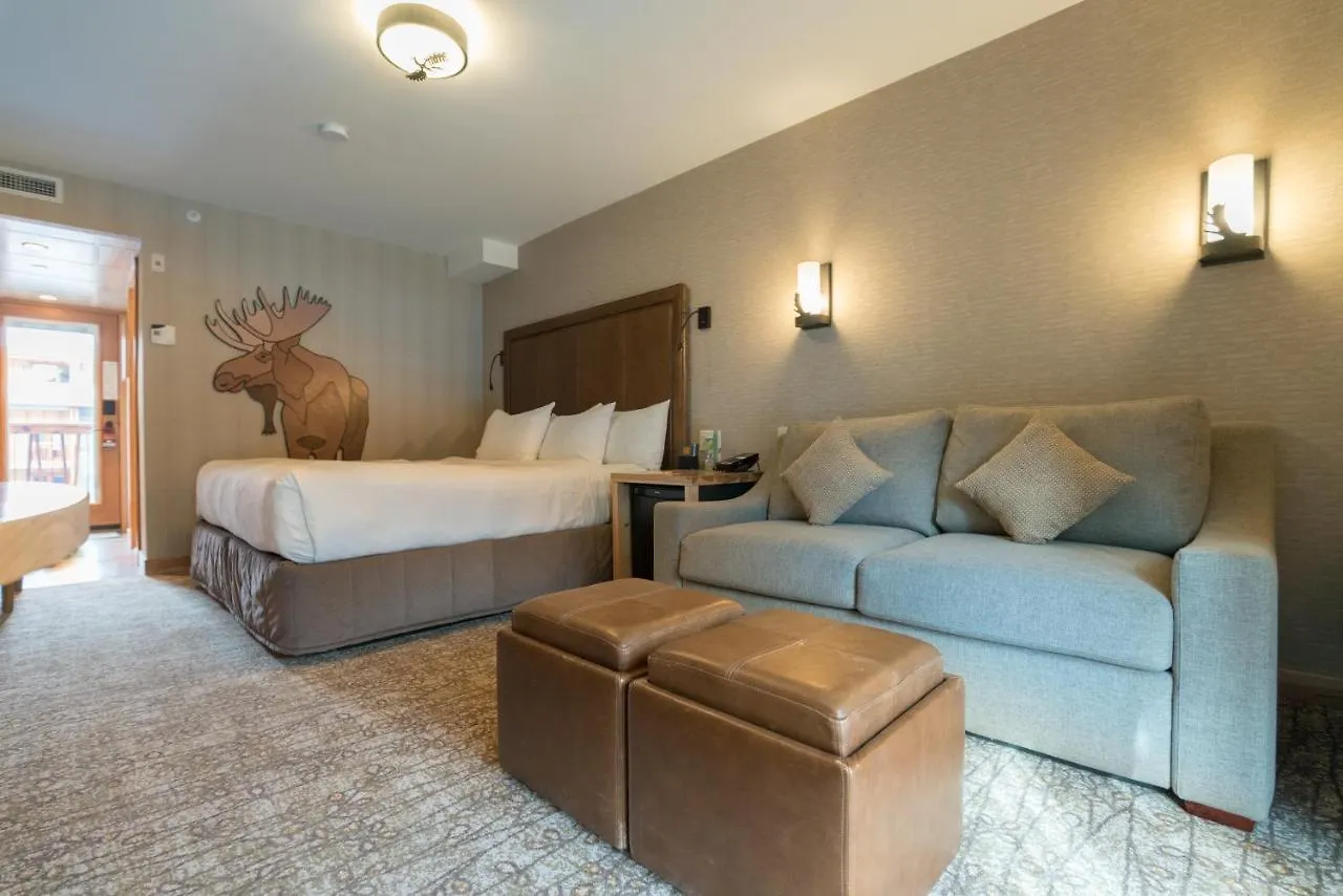Moose Hotel And Suites Banff
