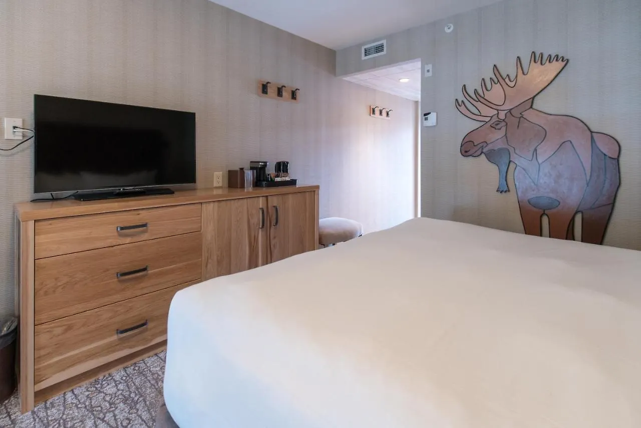 Moose Hotel And Suites Banff
