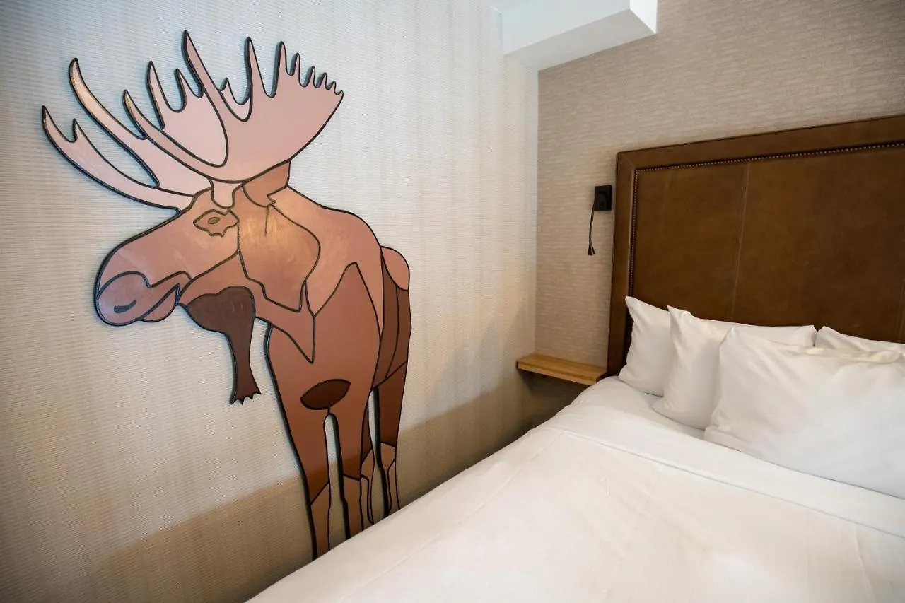 Moose Hotel And Suites Banff Canada