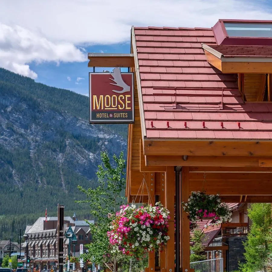 ****  Moose Hotel And Suites Banff Canada