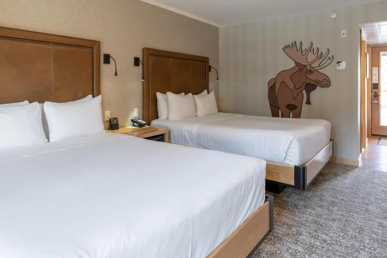 ****  Moose Hotel And Suites Banff Canada