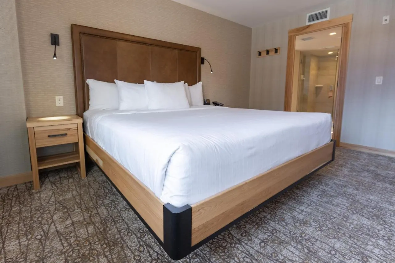Moose Hotel And Suites Банф 4*,  Канада