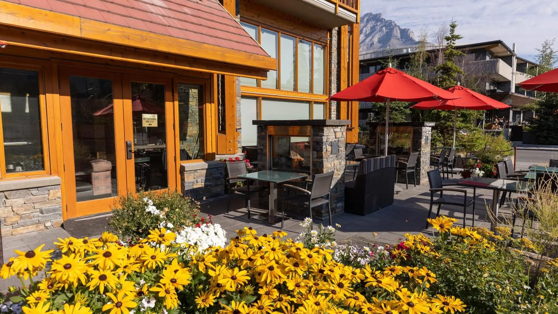 Moose Hotel And Suites Банф