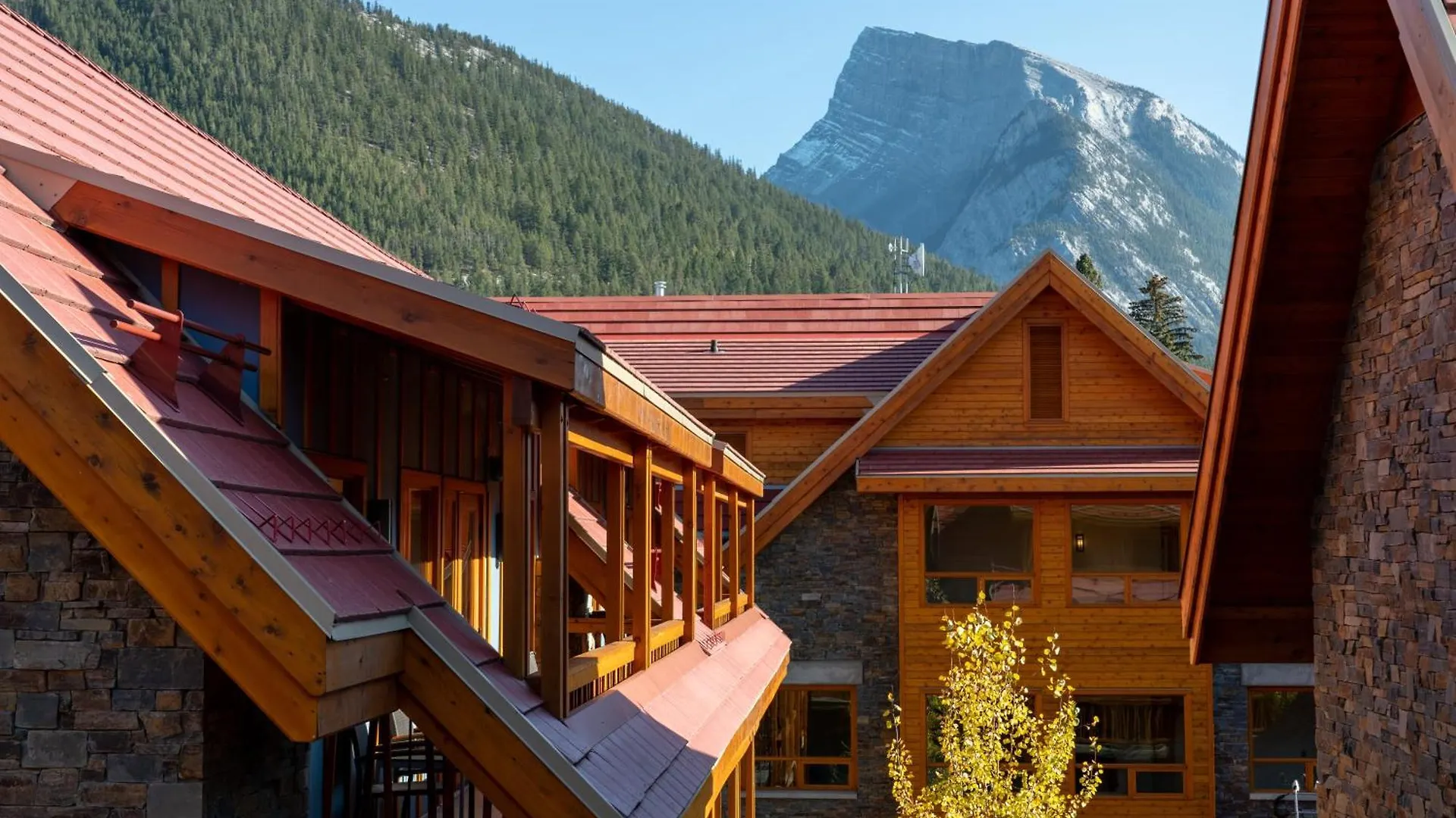 Moose Hotel And Suites Банф